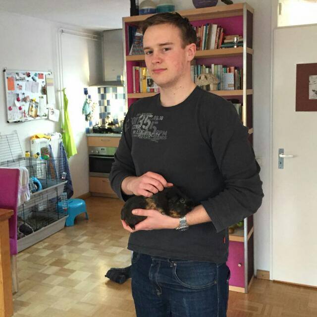 Foto van een lid of een kameel