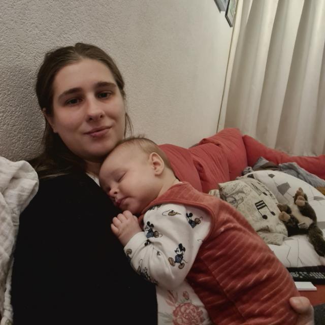 Foto van een lid of een kameel